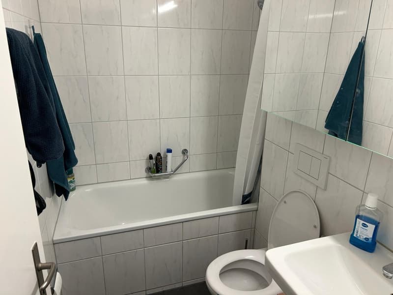 Helle und gepflegte 2.5-Zimmer-Wohnung mit grossem Balkon (11)