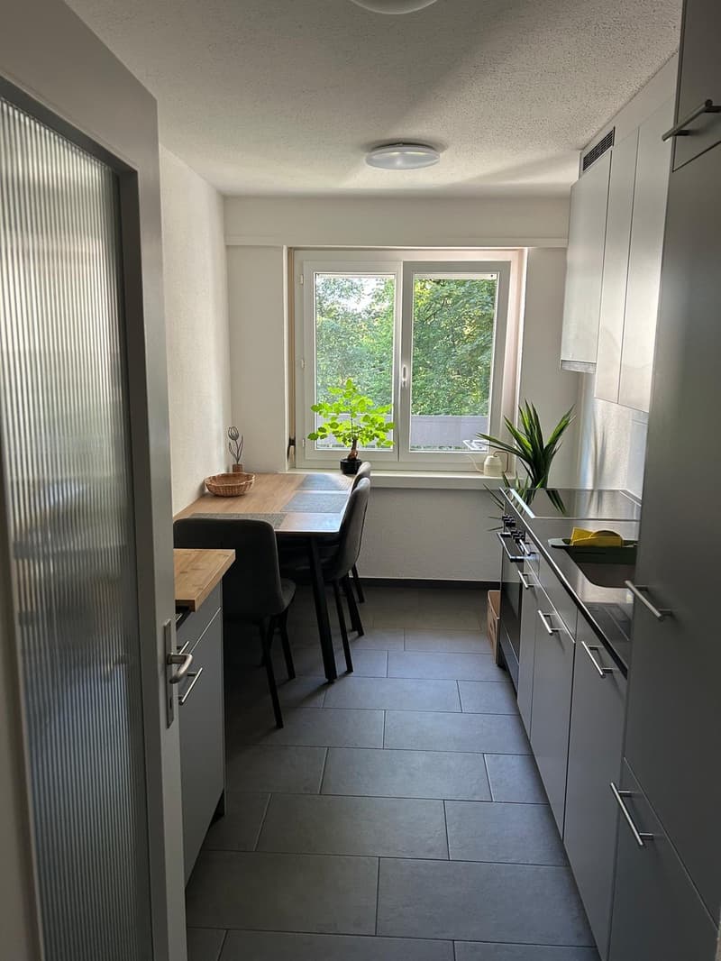 Helle und gepflegte 2.5-Zimmer-Wohnung mit grossem Balkon (12)