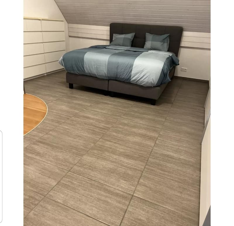 2 Zimmer-Wohnung, 8248 Uhwiesen (6)