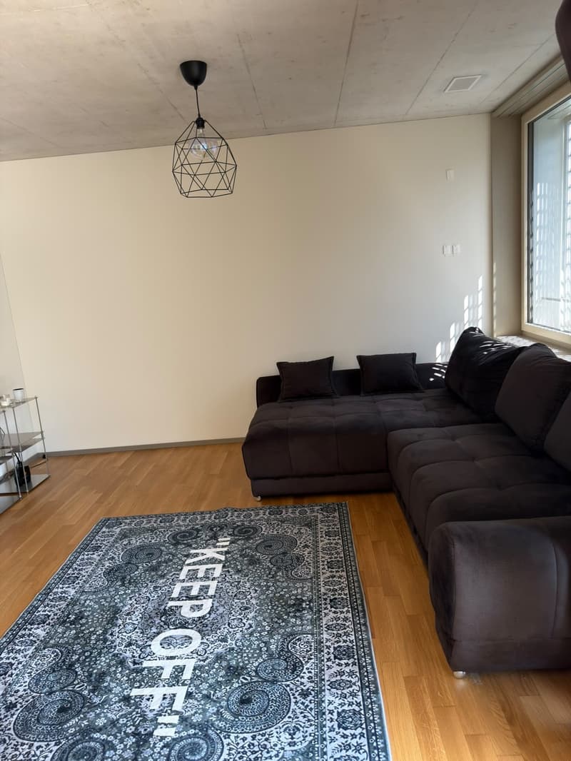 2.5-Room Furnished Apartment, Kloten Available Immediately (Furniture Purchase Required) (3)