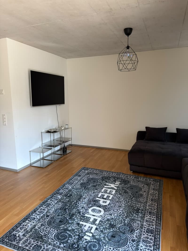 2.5-Room Furnished Apartment, Kloten Available Immediately (Furniture Purchase Required) (2)