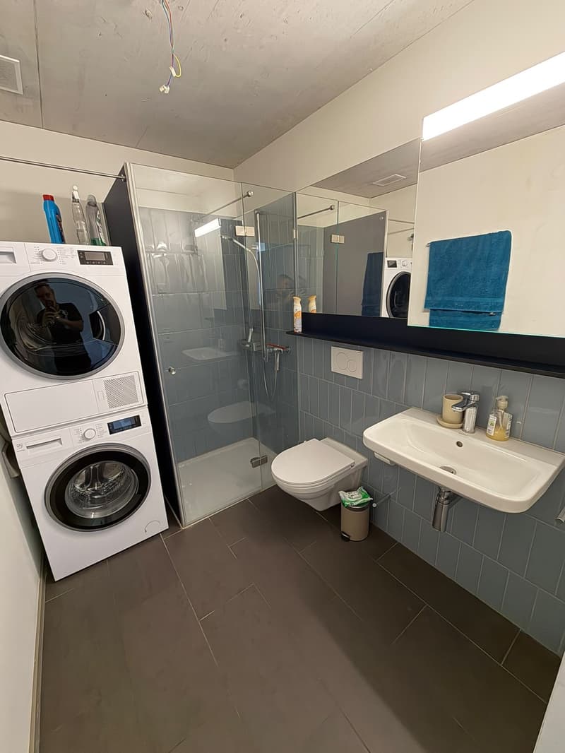 2.5-Room Furnished Apartment, Kloten Available Immediately (Furniture Purchase Required) (9)