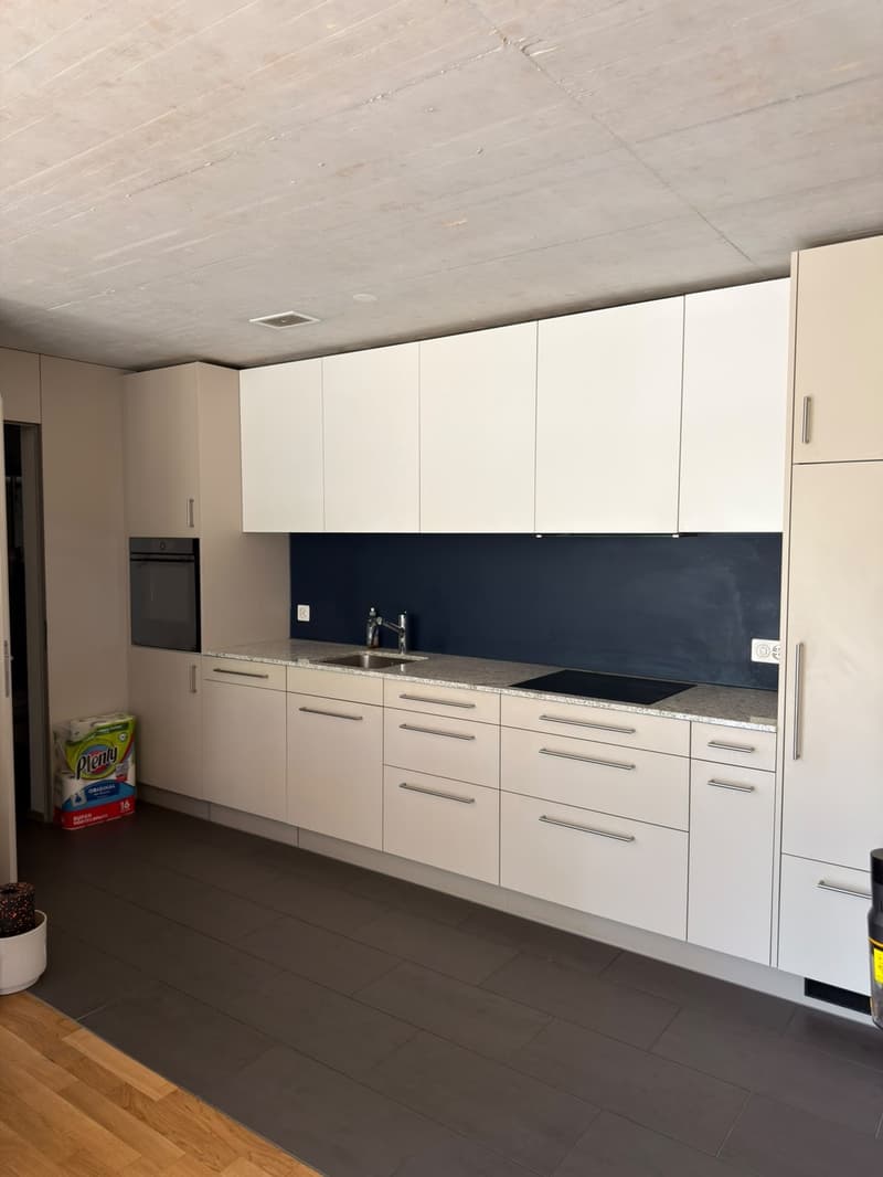 2.5-Room Furnished Apartment, Kloten Available Immediately (Furniture Purchase Required) (6)