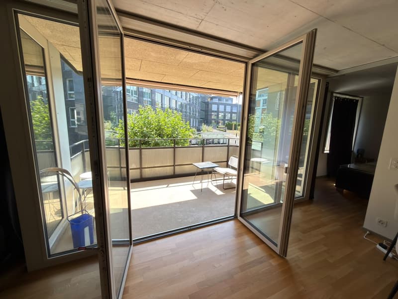 2.5-Room Furnished Apartment, Kloten Available Immediately (Furniture Purchase Required) (8)