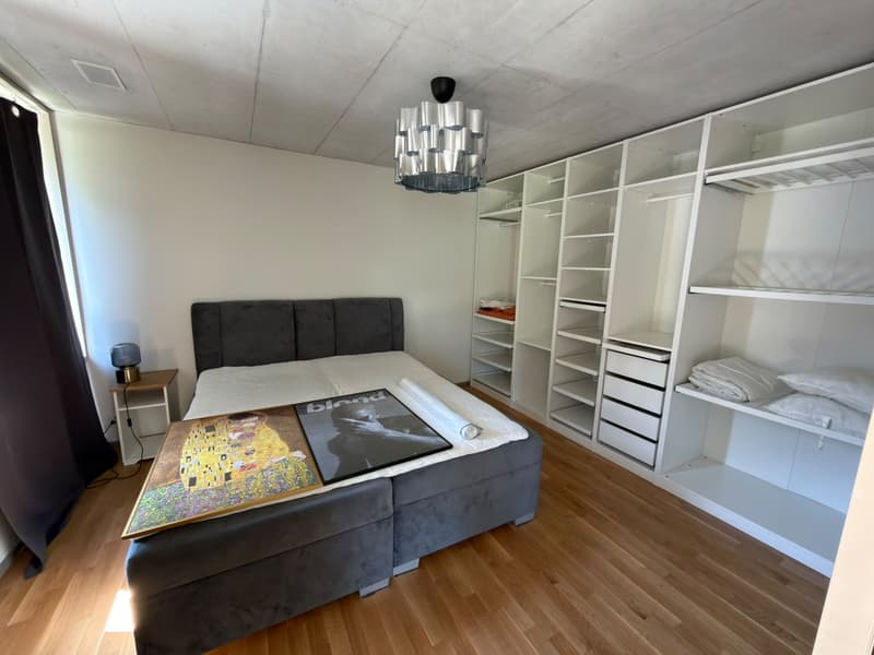 2.5-Room Furnished Apartment, Kloten Available Immediately (Furniture Purchase Required) (7)