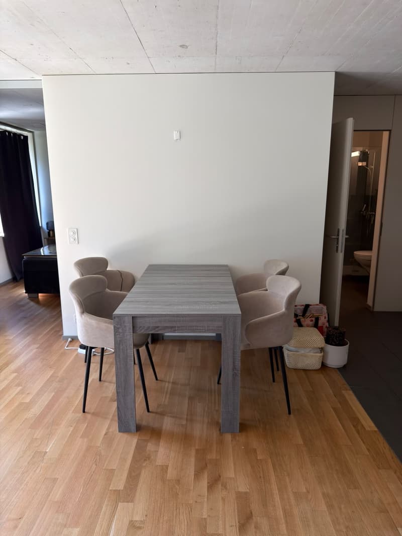 2.5-Room Furnished Apartment, Kloten Available Immediately (Furniture Purchase Required) (5)