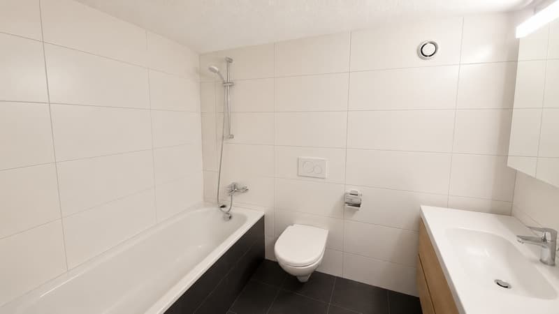 4 ½ Zimmer-Wohnung, 8627 Grüningen (4)