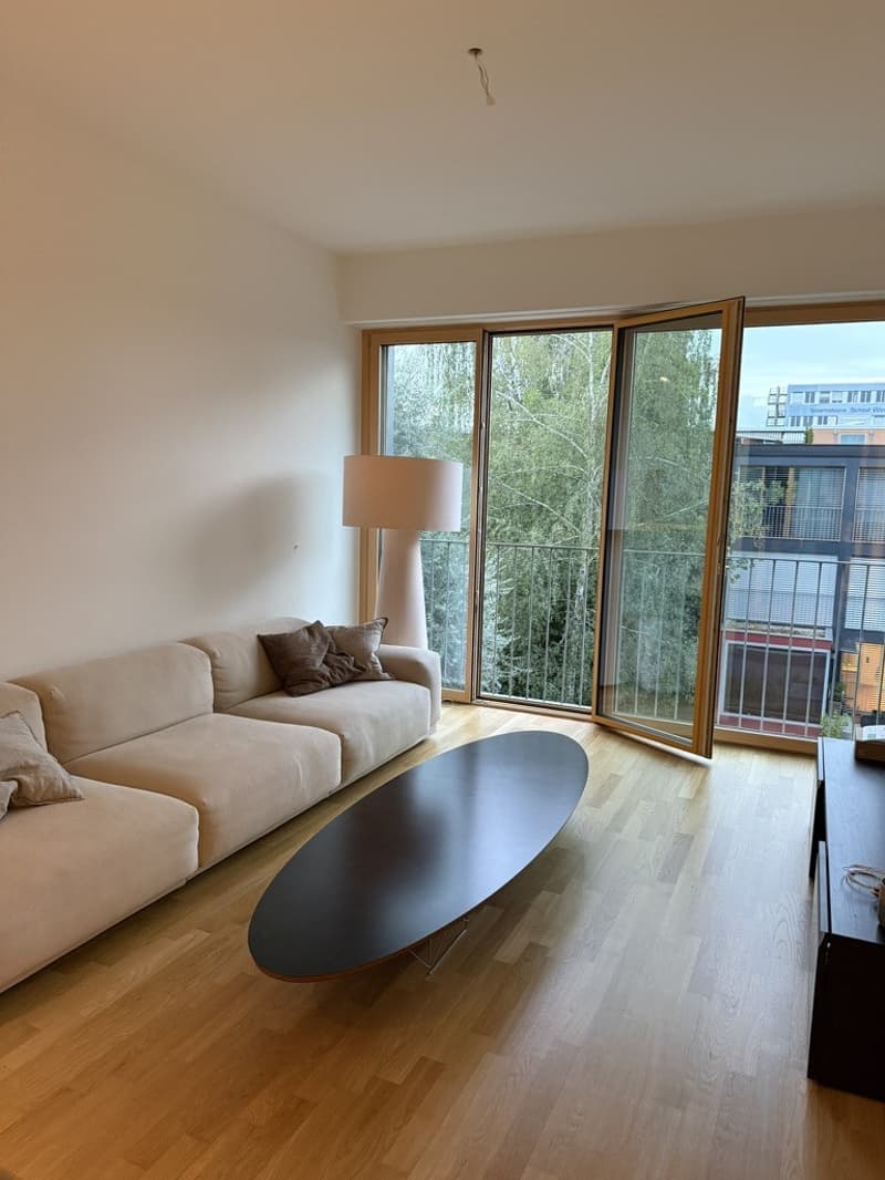 WG Zimmer zur Untermiete in Winterthur (2)