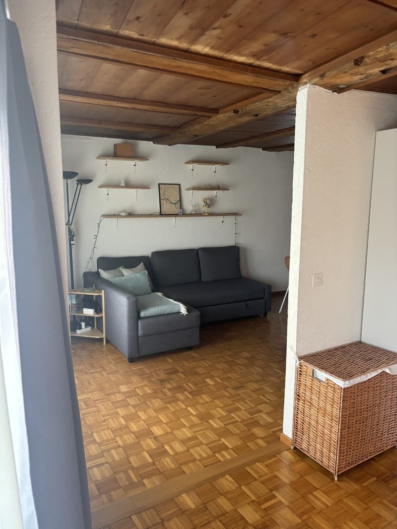 Appartement charmant et calme en basse-ville avec balcon privé et jardin commun (4)