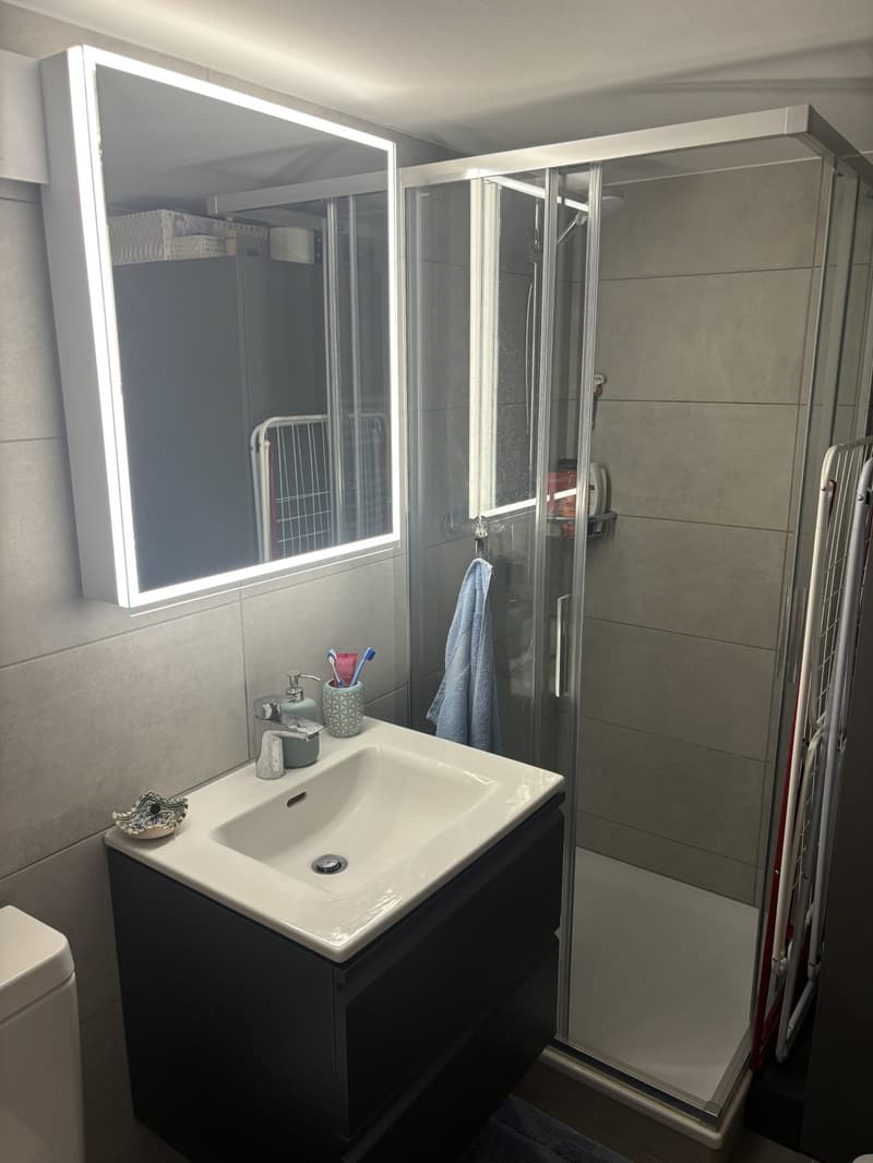 Appartement charmant et calme en basse-ville avec balcon privé et jardin commun (7)