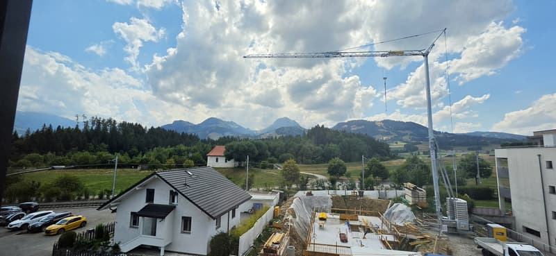 Bel appartement de 2,5 pièces (3)