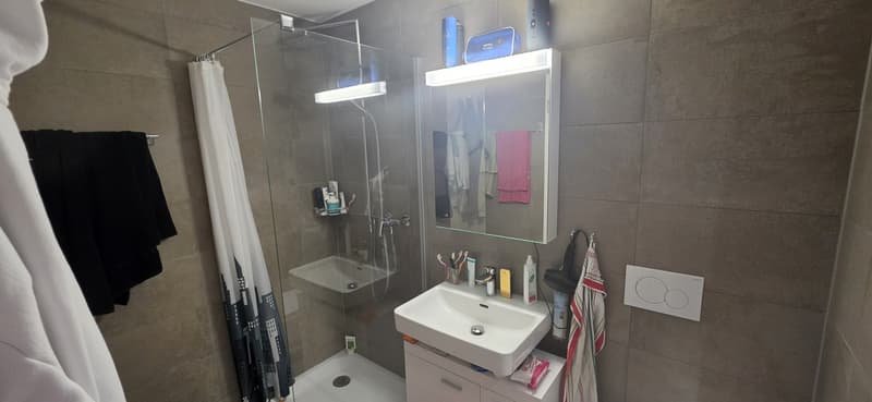 Bel appartement de 2,5 pièces (6)