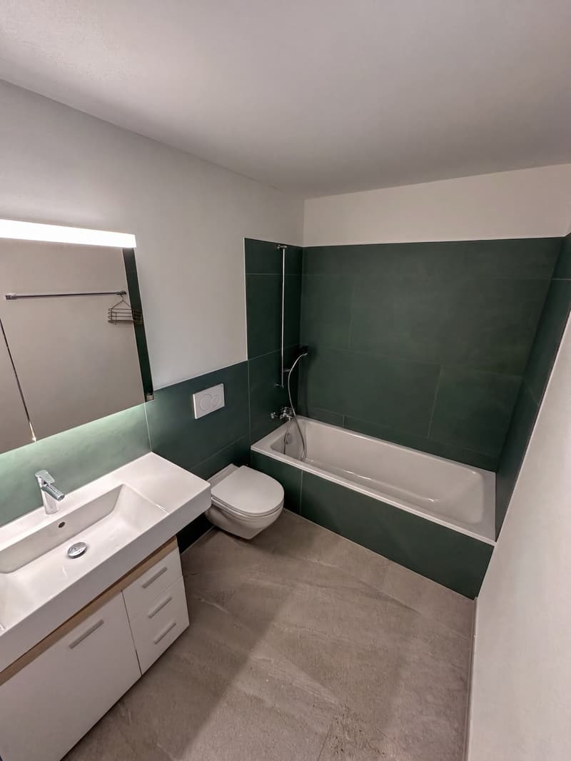 4 ½ Zimmer-Wohnung in Luzern mieten (8)