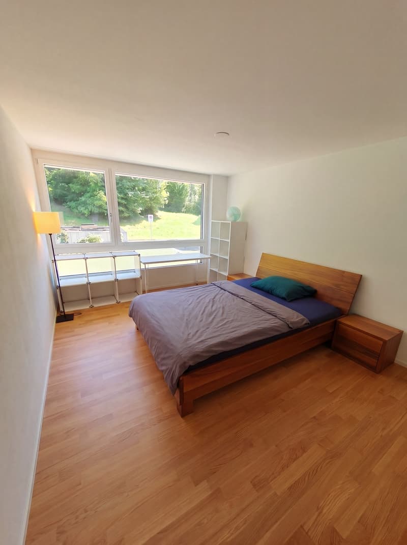 4 ½ Zimmer-Wohnung in Luzern mieten (5)