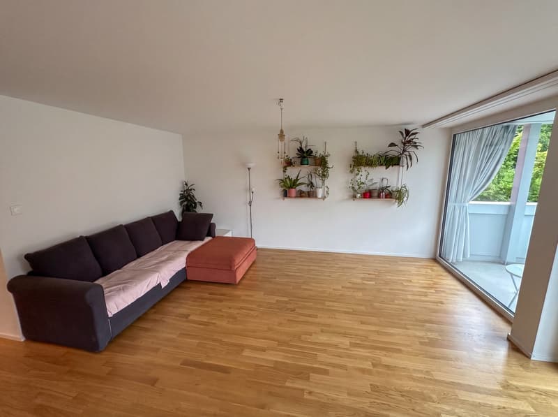 4 ½ Zimmer-Wohnung in Luzern mieten (1)
