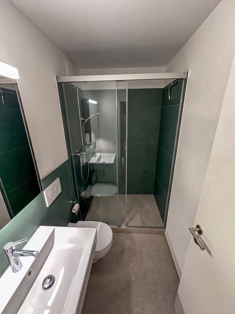 4 ½ Zimmer-Wohnung in Luzern mieten (9)