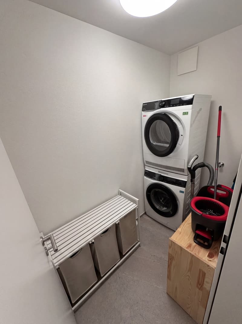 4 ½ Zimmer-Wohnung in Luzern mieten (10)