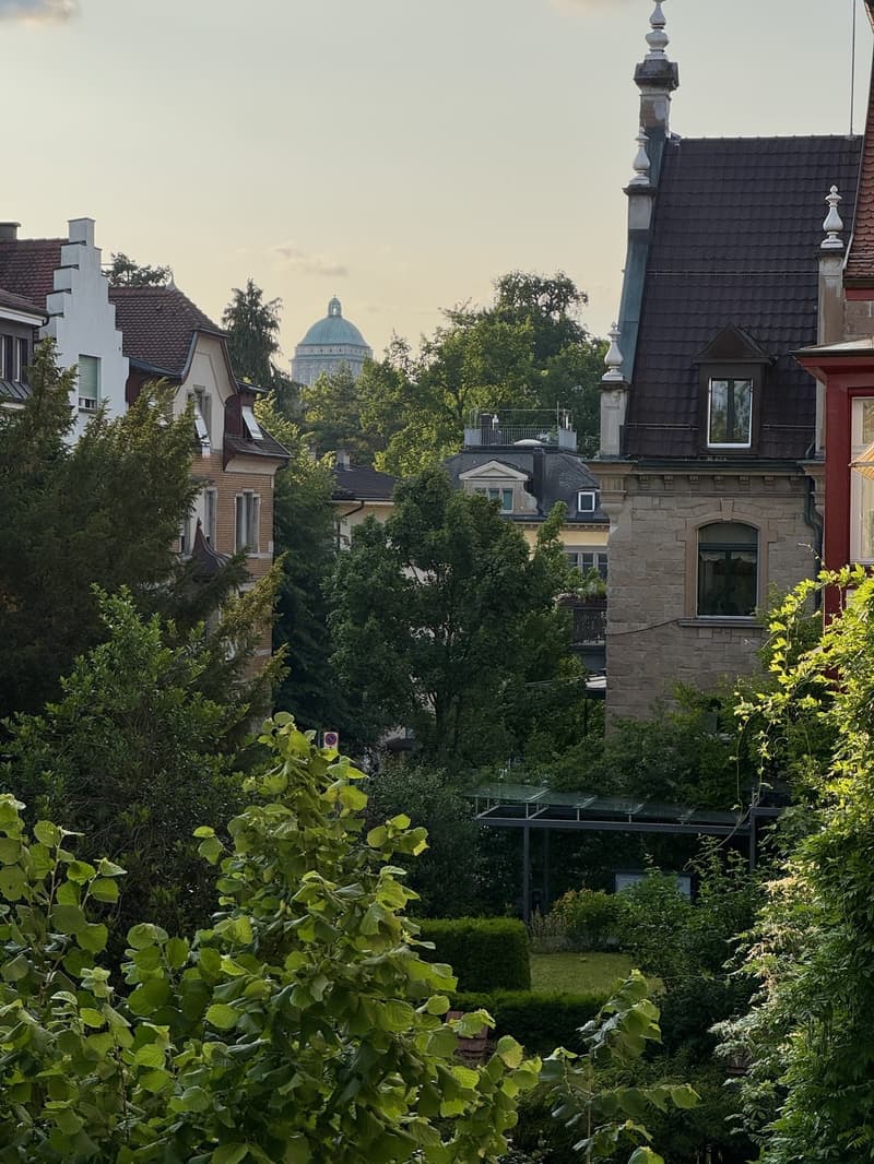 Le Chateau - Hottingen (3)