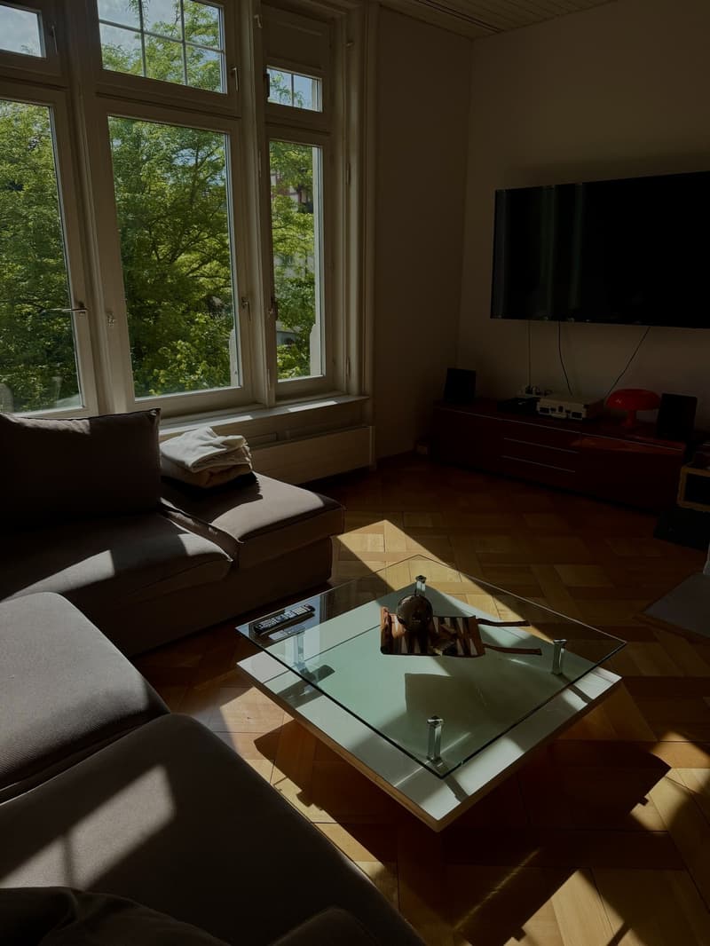 Le Chateau - Hottingen (5)