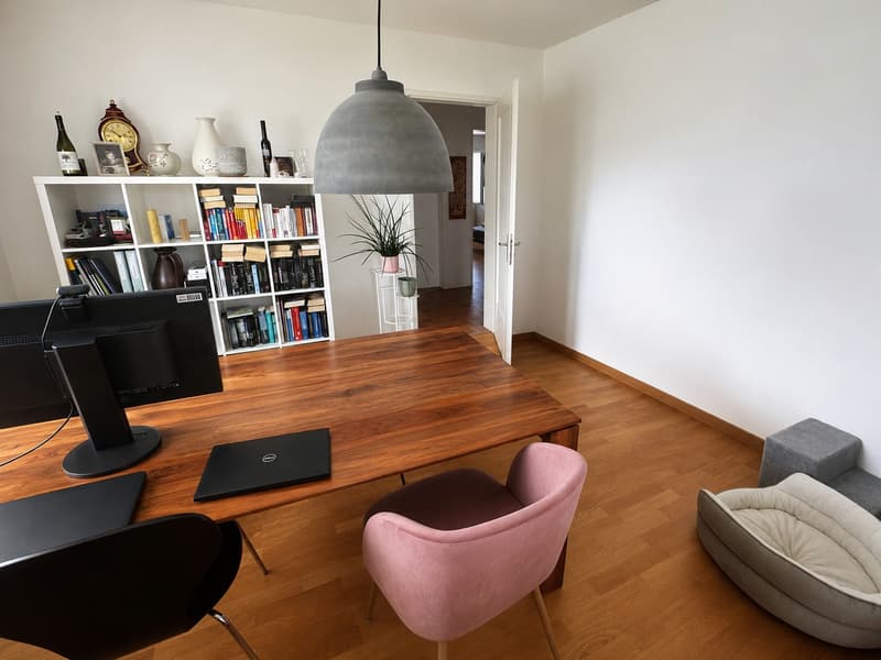 Nachmieter gesucht für helle Wohnung im Weissenbühl (4)