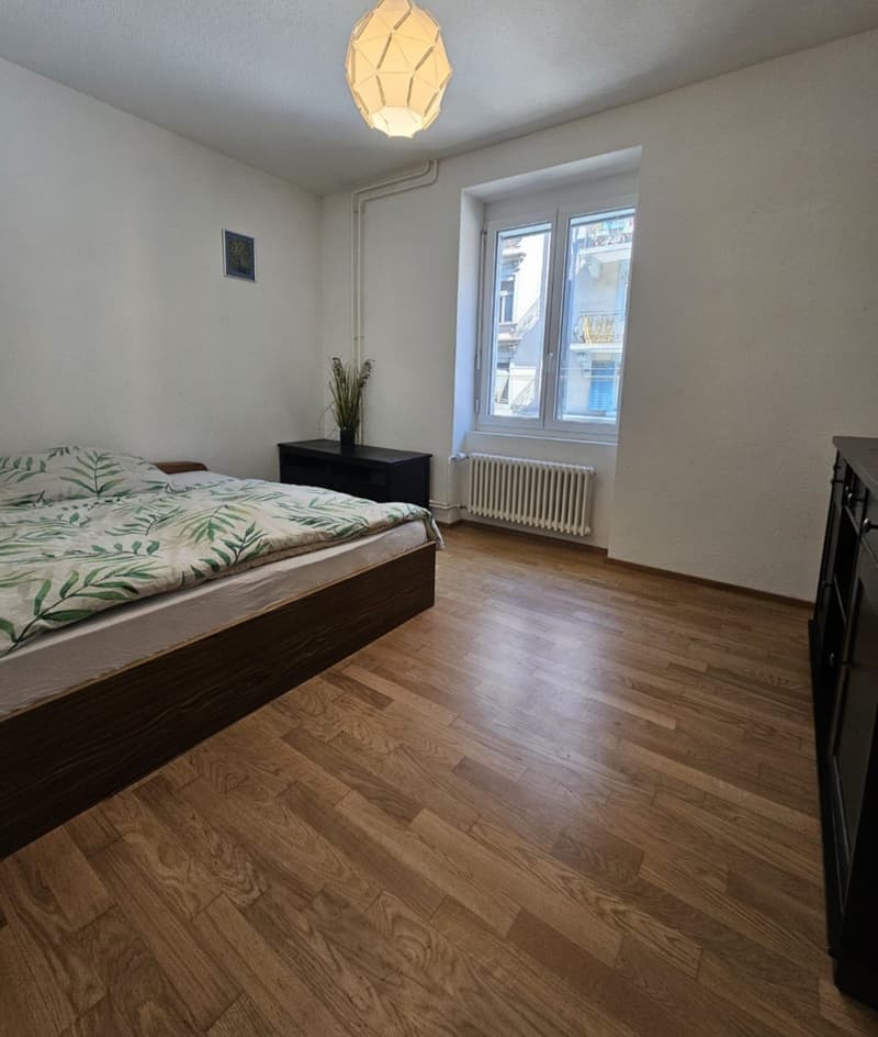 Big cozy and fully furnished flat in the heart of Zurich (6)
