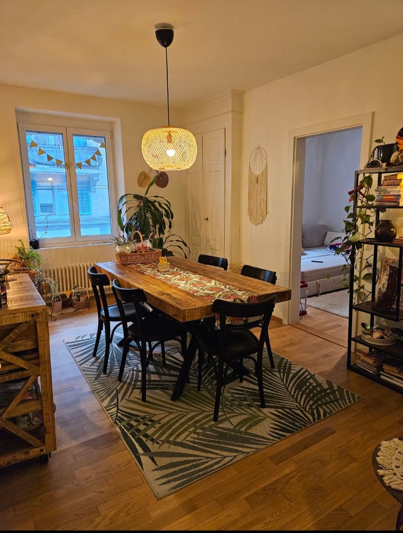 Big cozy and fully furnished flat in the heart of Zurich (3)