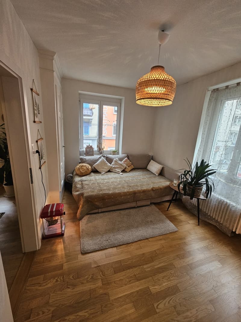 Big cozy and fully furnished flat in the heart of Zurich (2)