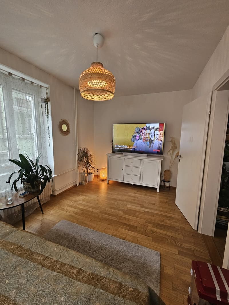 Big cozy and fully furnished flat in the heart of Zurich (1)