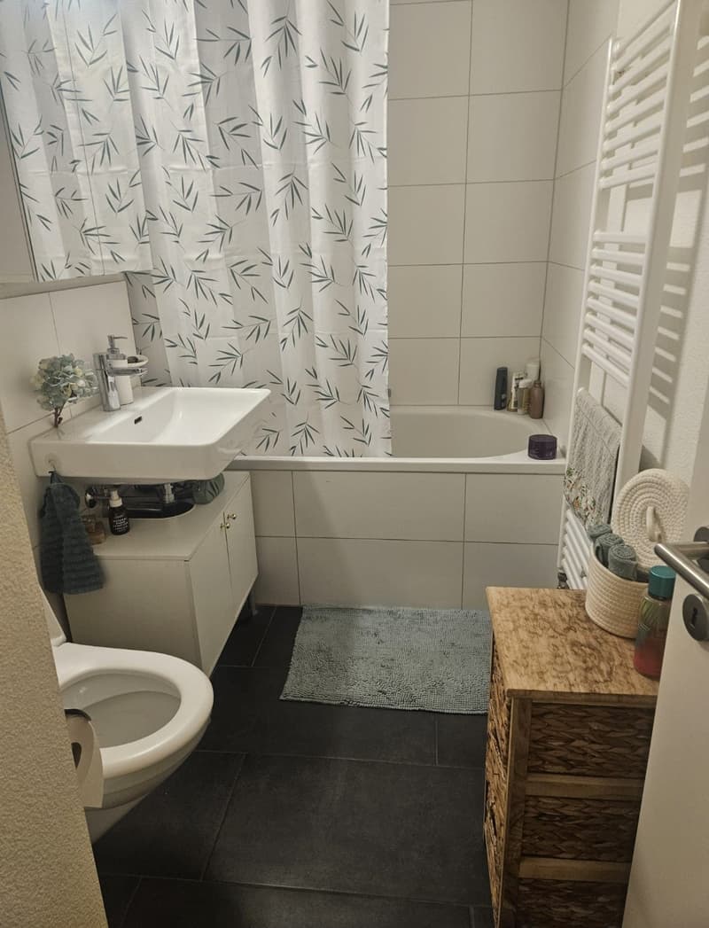 Big cozy and fully furnished flat in the heart of Zurich (5)