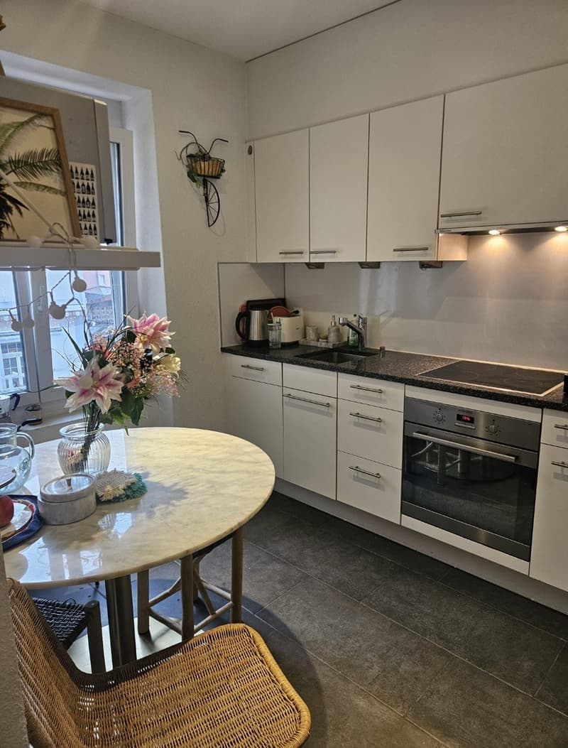 Big cozy and fully furnished flat in the heart of Zurich (4)