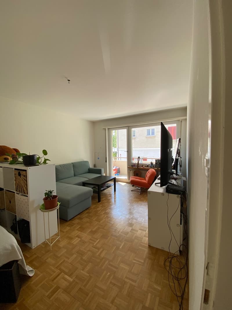 Helle 1-Zimmer-Wohnung mit Balkon  Top-Lage nahe Sihlcity & Morgental (5)