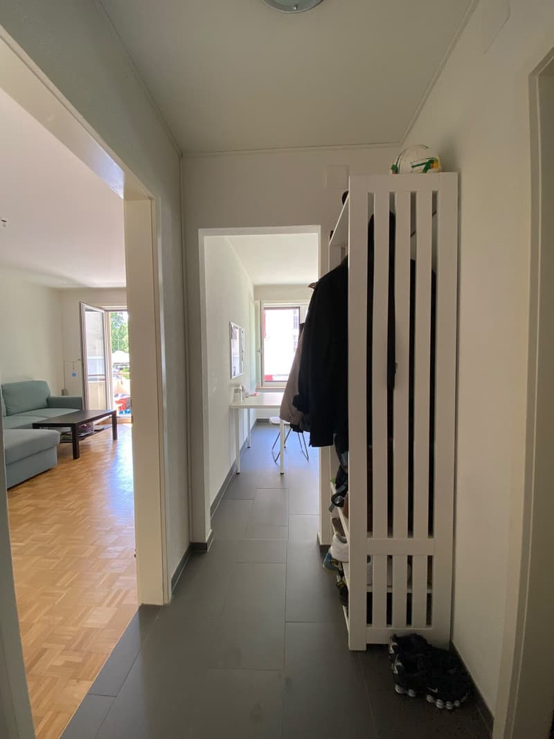 Helle 1-Zimmer-Wohnung mit Balkon  Top-Lage nahe Sihlcity & Morgental (2)