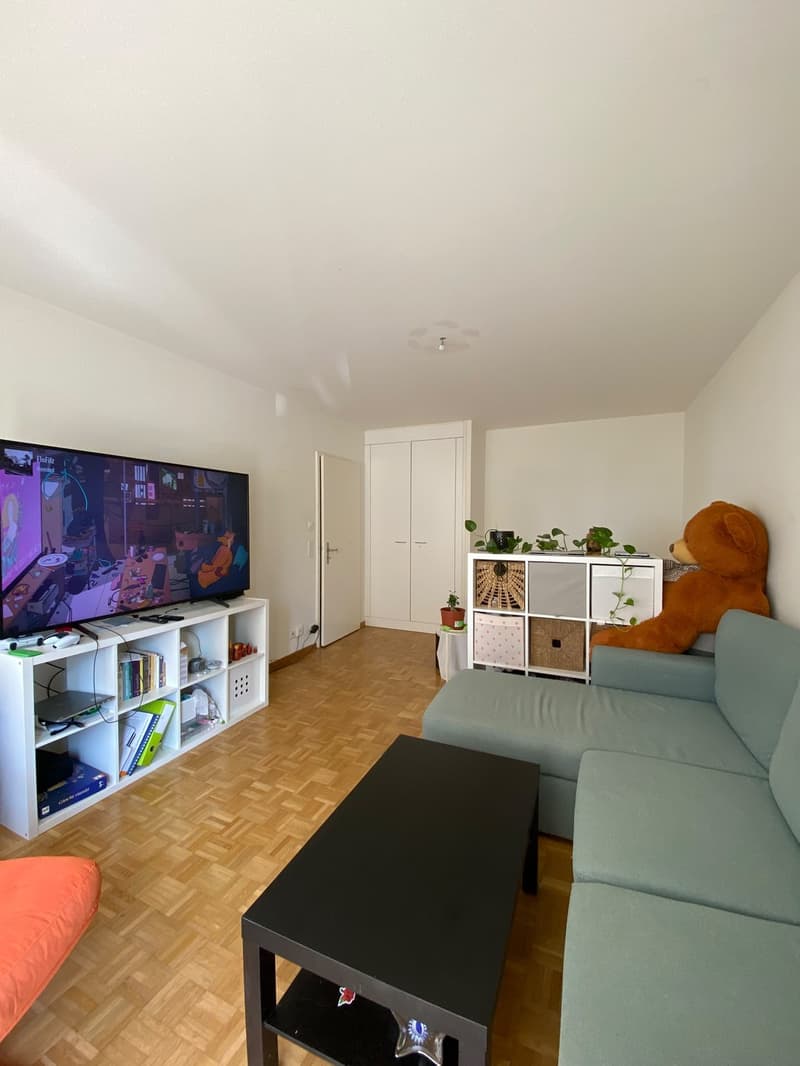Helle 1-Zimmer-Wohnung mit Balkon  Top-Lage nahe Sihlcity & Morgental (3)
