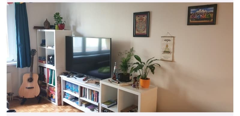 Sublet: Furnished 2-Room Apartment in Oerlikon | 1 Dec 2026  1 Jan 2027 (Available from 22 Nov 2026) (3)