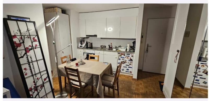 Sublet: Furnished 2-Room Apartment in Oerlikon | 1 Dec 2026  1 Jan 2027 (Available from 22 Nov 2026) (6)