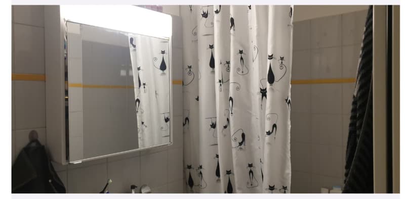 Sublet: Furnished 2-Room Apartment in Oerlikon | 1 Dec 2026  1 Jan 2027 (Available from 22 Nov 2026) (4)