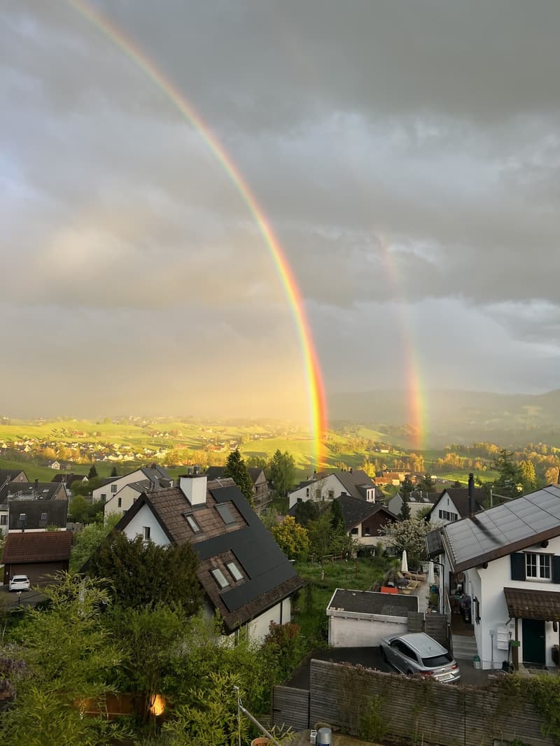 3.5 Zimmer Wohnung im wunderschönen Hirzel (13)