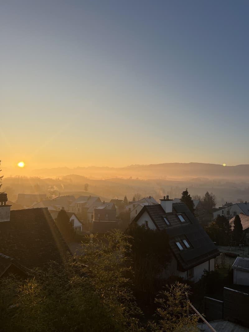 3.5 Zimmer Wohnung im wunderschönen Hirzel (12)