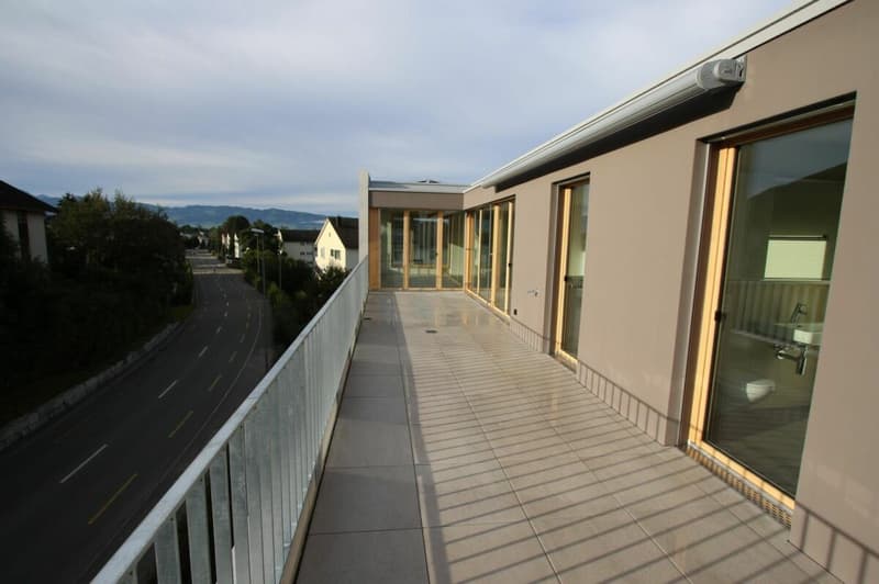 Wunderschöne Terrassen Wohnung (5)