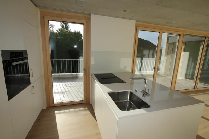 Wunderschöne Terrassen Wohnung (7)