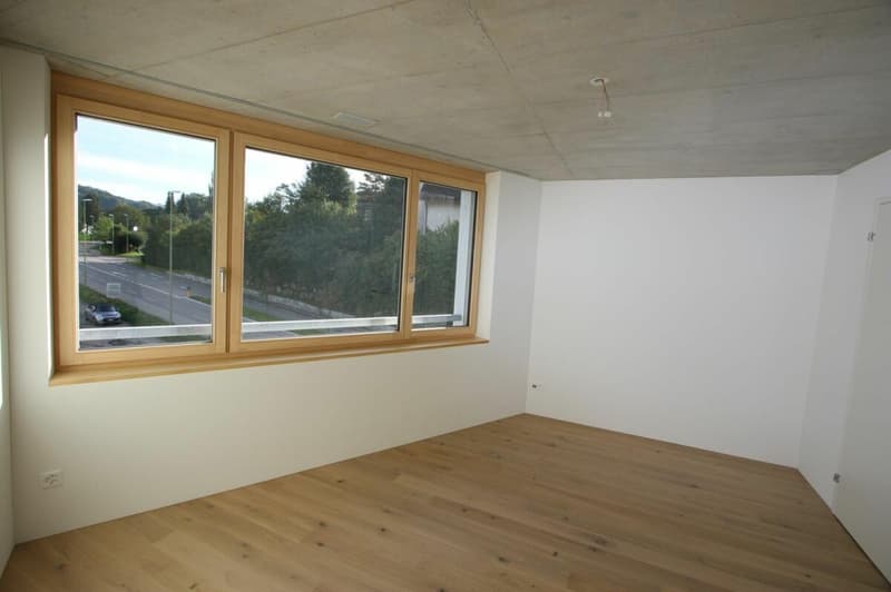 Wunderschöne Terrassen Wohnung (4)