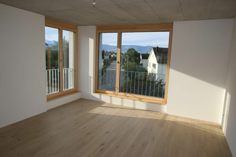 Wunderschöne Terrassen Wohnung (6)