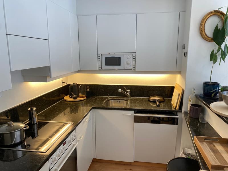 Apartment in Charming Seefeld Location Directly Next To Lake Zurich (2)