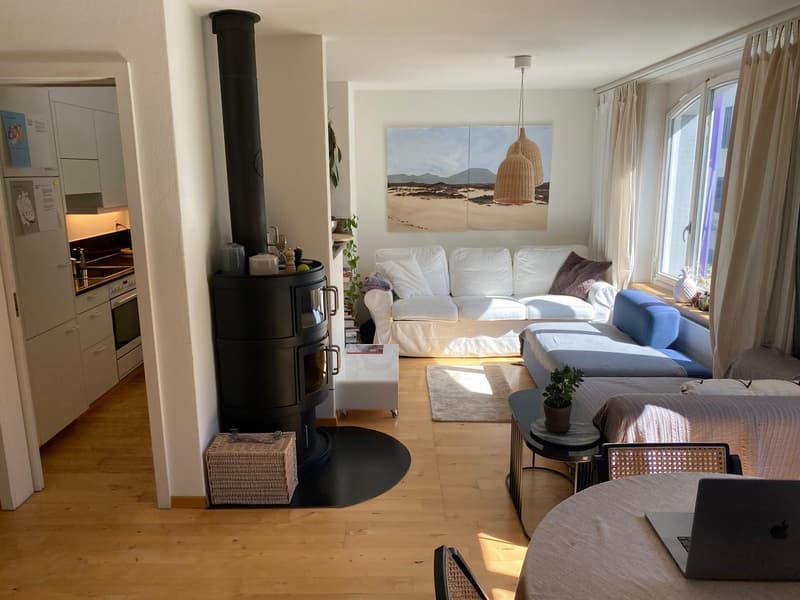 Apartment in Charming Seefeld Location Directly Next To Lake Zurich (7)