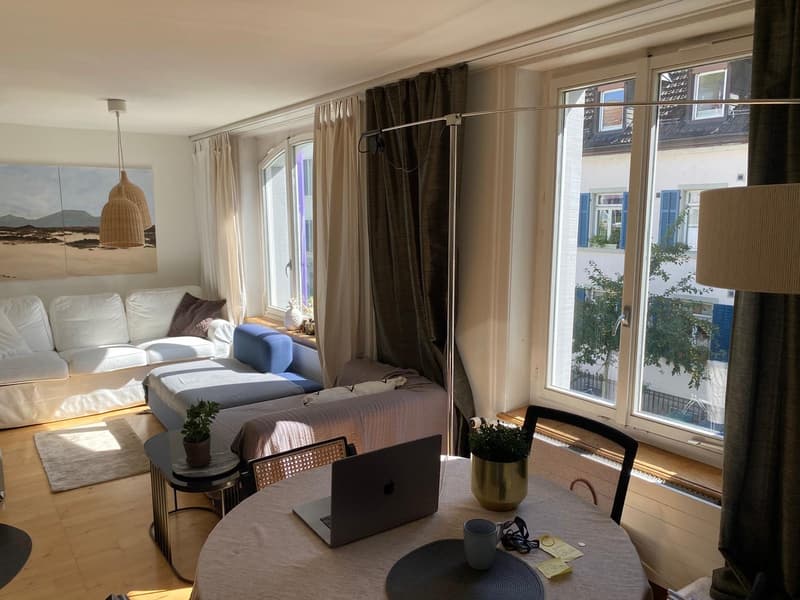 Apartment in Charming Seefeld Location Directly Next To Lake Zurich (3)