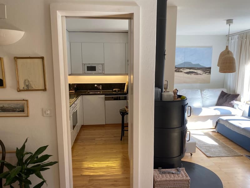 Apartment in Charming Seefeld Location Directly Next To Lake Zurich (1)