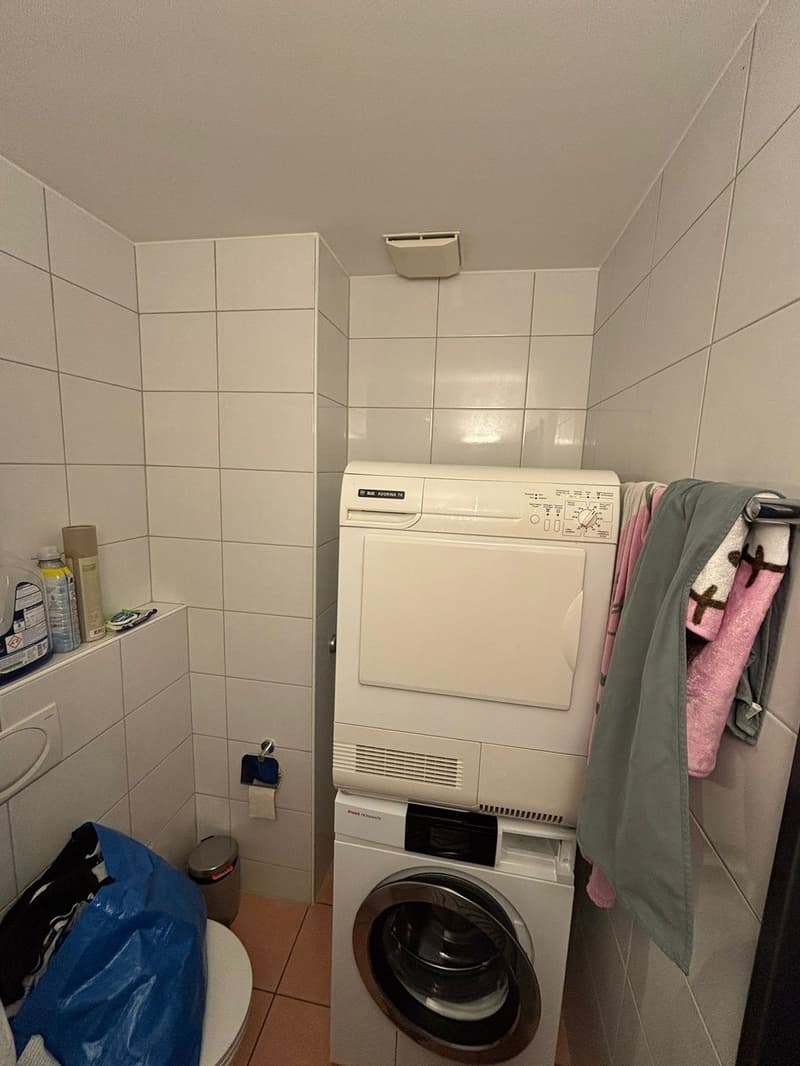 3 1/2 Zimmer Wohnung zu vermieten (7)