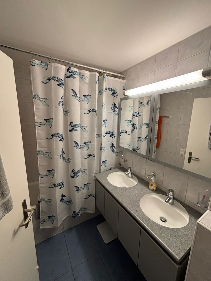 3 1/2 Zimmer Wohnung zu vermieten (4)