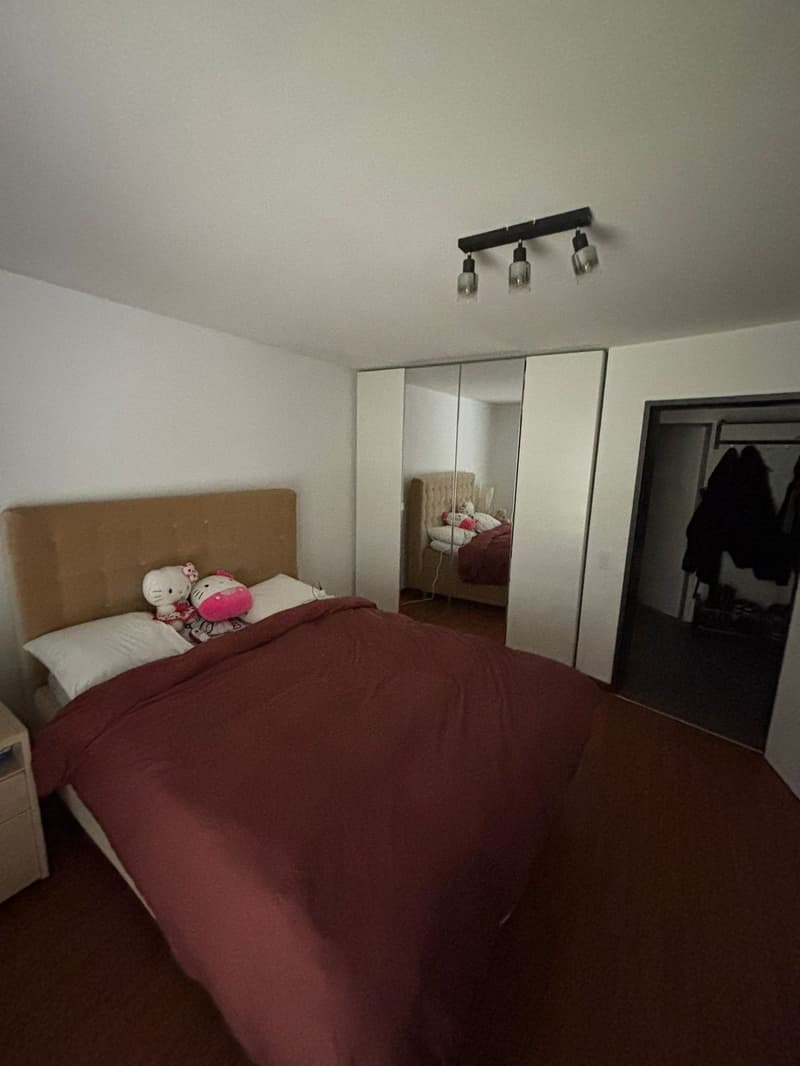 3 1/2 Zimmer Wohnung zu vermieten (5)