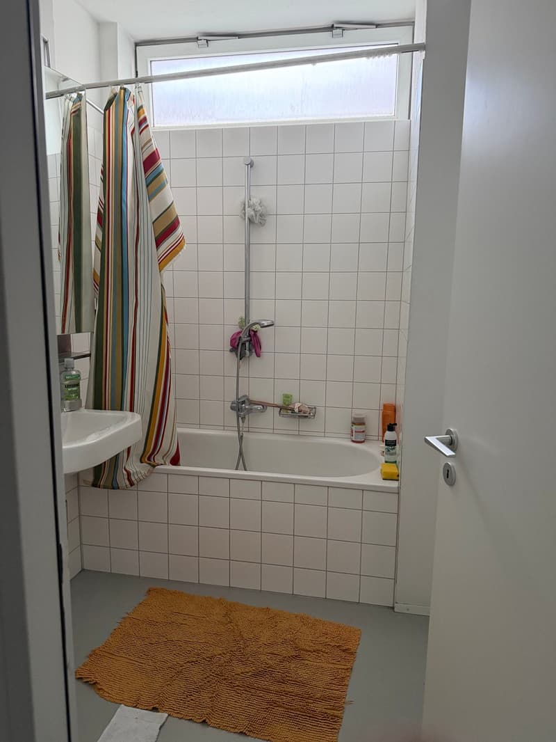 Modern 2.5-Room Loft near Sihl City, Zürich  3-Month Sublet (5)